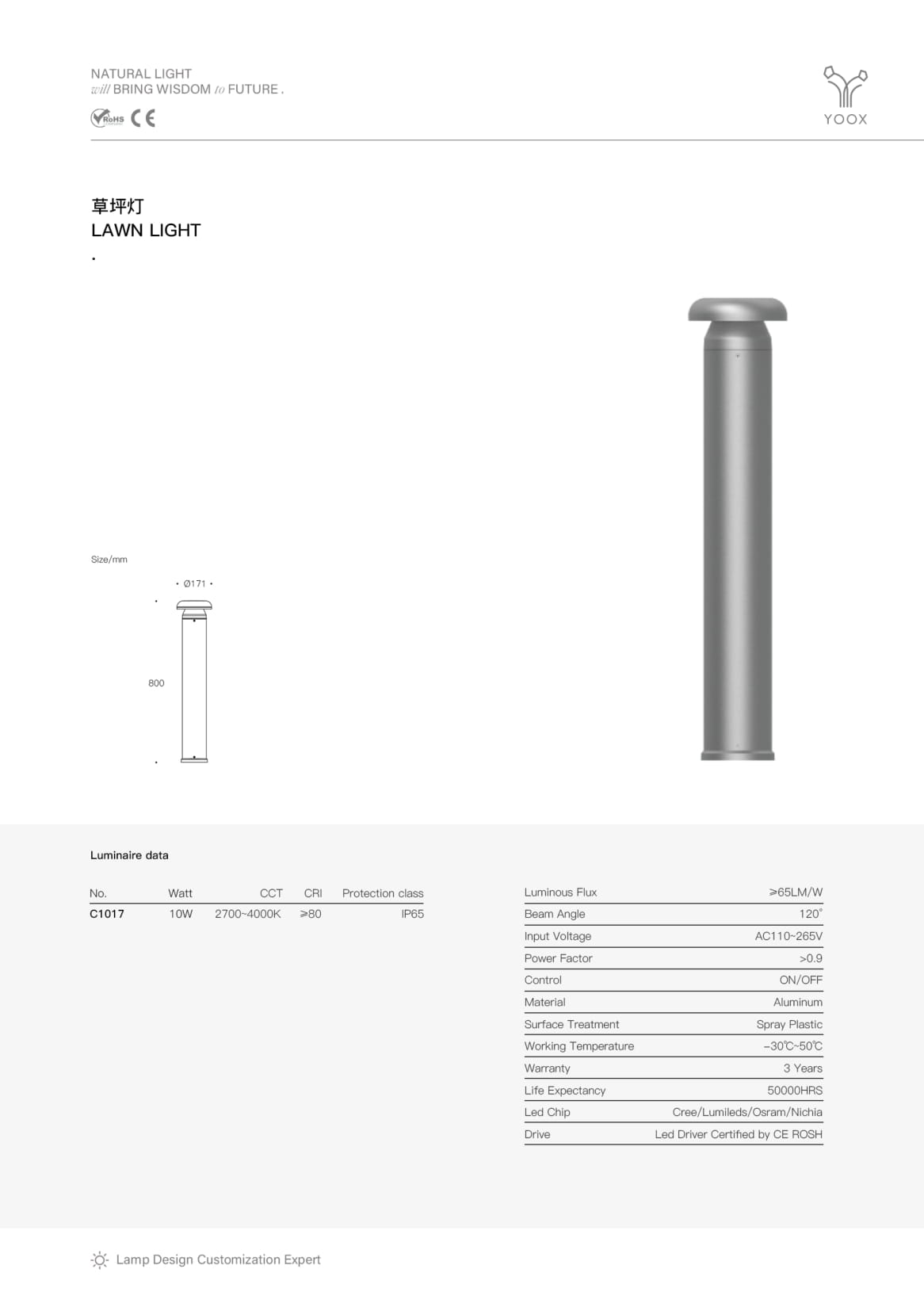 Pioneer Flat Bollard SPC1017