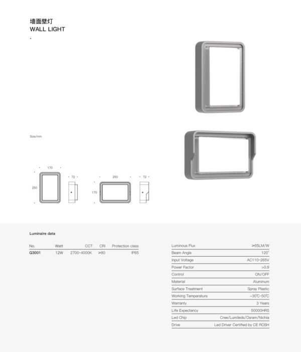 SurfaceLit Wall Light SPQ3001